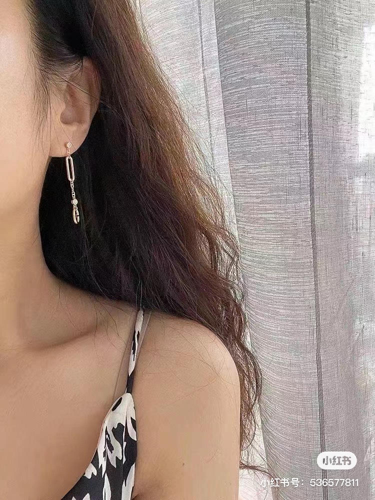 Hermes Earrings